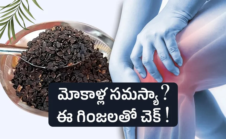Tip of the Day Soaked Mahabeera seeds amazing benefits for knee pains