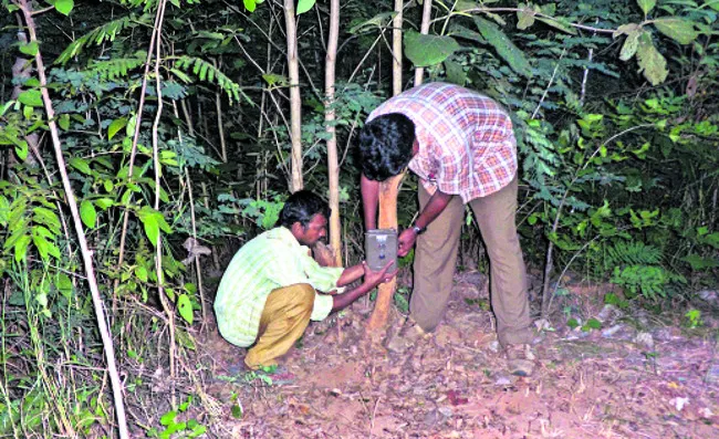 వన్యప్రాణి కనిపిస్తే క్లిక్‌ 
