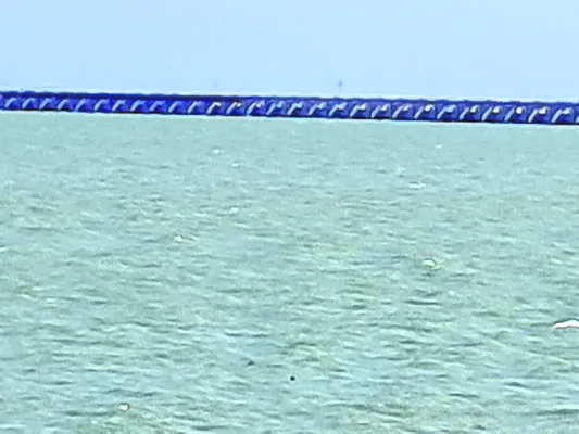ఎస్సా