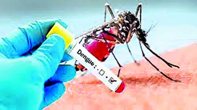 సిటీలో డెంగీ భూతం