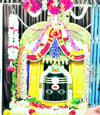 త్రిన