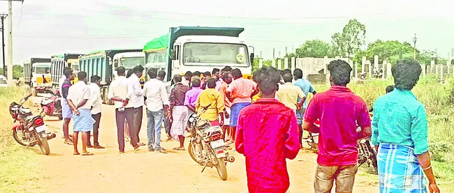 తీరంలో మాంగ్రూవ్ అడవుల పెంపకానికి శ్రీకారం