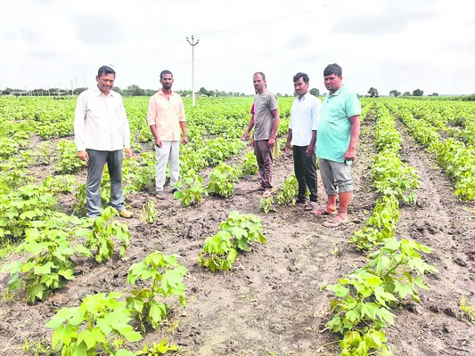 నానో