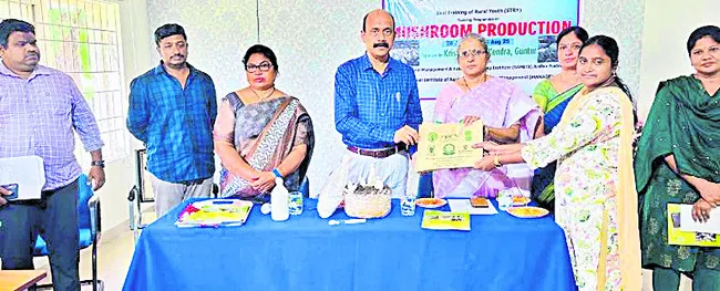 పుట్ట గొడుగుల పెంపకంపై శిక్షణ తరగతులు