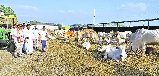 గోశాల.. గోస తీరేనా.!