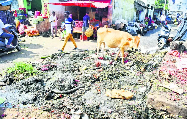 వ్యాధ