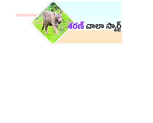 మంగళవ