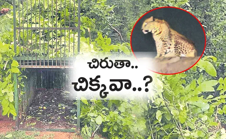 Leopard scare in Hyderabad continues authorities on alert