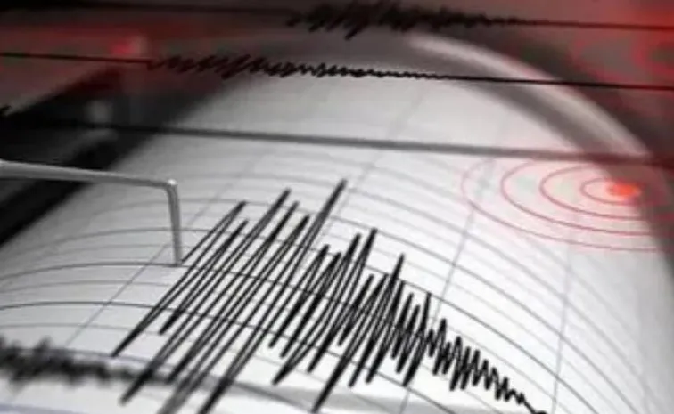 Quake Jolts Nicobar: Tsunami Ruled Out1