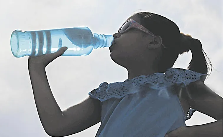 Eating Food From Plastic Takeaway Containers Can Harm Health