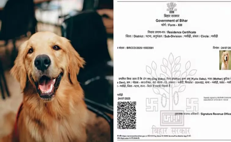 Dog Babu son of Kutta Babu gets residence certificate in Bihar3