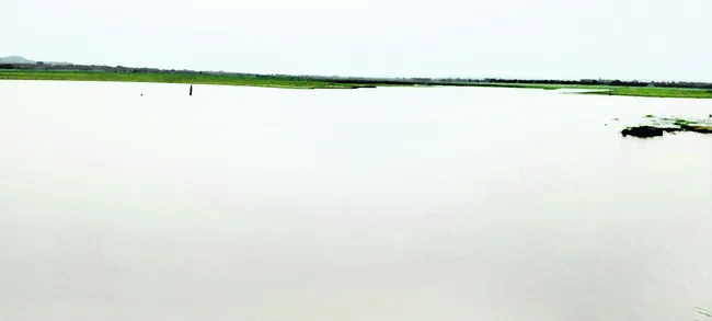 గోదావ