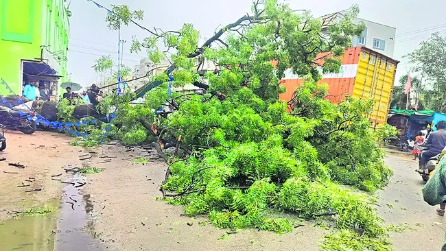 ‘సాంస్కృతిక’సలహాదారుగా అంజన్న