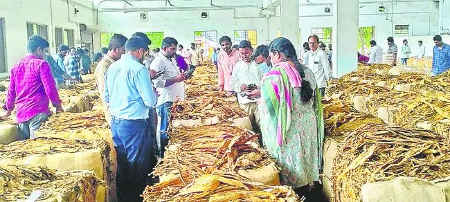 పెరిగిన పొగాకు ధర