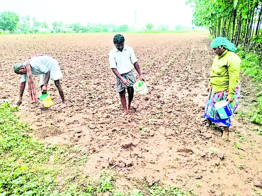 కురిస