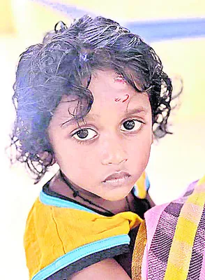 బాలుడిపై వీధి కుక్కల దాడి