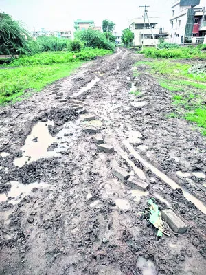 నడవాలంటే నాట్యమే...