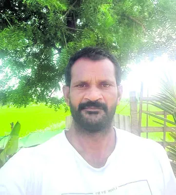 కలుపుతీసి ఎరువు పెట్టుకుంటాం
