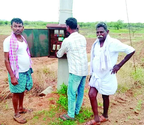 పచ్చ 