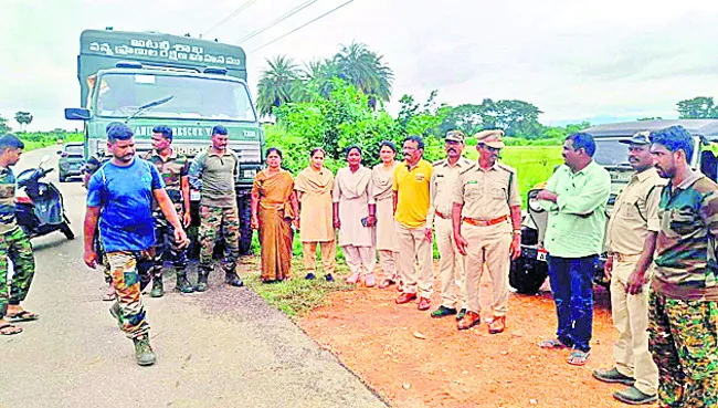 ఏనుగు