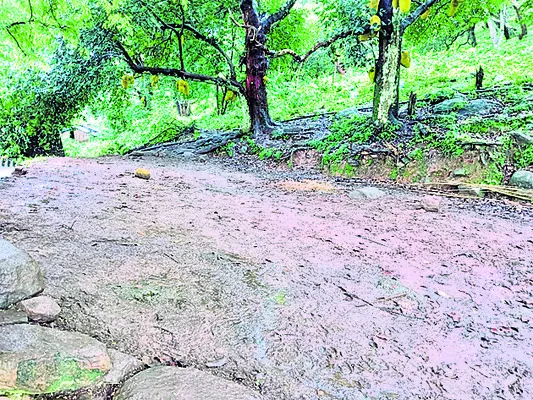 గిరిజన బిడ్డల చదువు కష్టాలు!