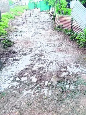 విలీన