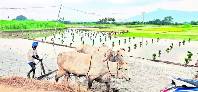 సీసీఆ