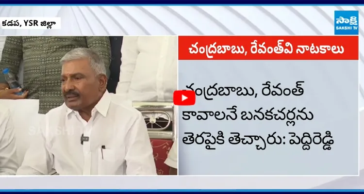 చంద్రబాబుకు బనకచర్ల పూర్తిచేసే ఉద్దేశం లేదు: పెద్దిరెడ్డి రామచంద్రారెడ్డి