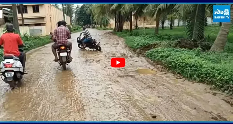 Palakollu roads: అంతన్నారు.. ఇంతన్నారు చివరికి గోతులు పడితే మాత్రం!?