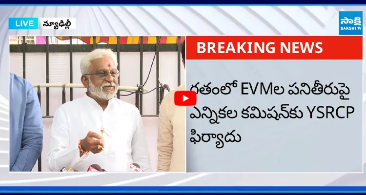 వైవీ సుబ్బారెడ్డి నేతృత్వంలో ప్రతినిధుల బృందం భేటీ