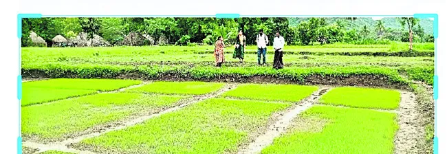 నష్టభయం
