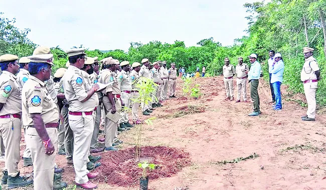 నేత్ర