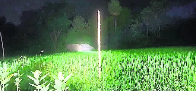 శేషాచ