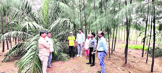 రైతులు ఆయిల్పాం సాగు చేయాలి