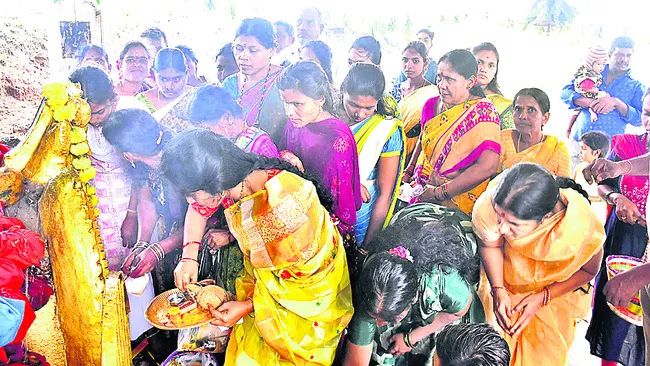 పాలుప