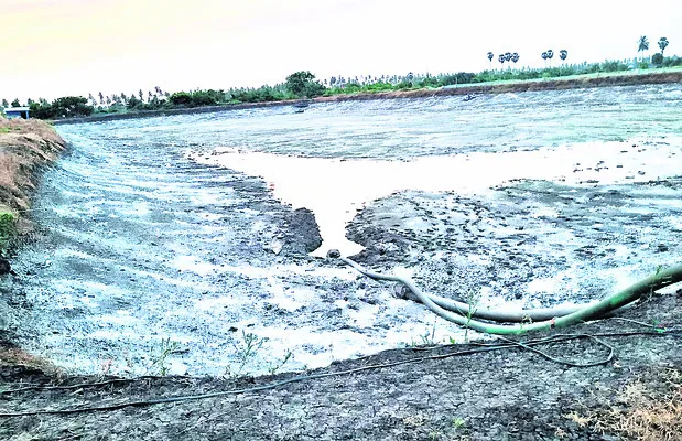 దిగుబ