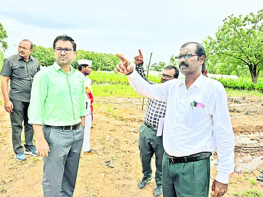 ఆయిల్
