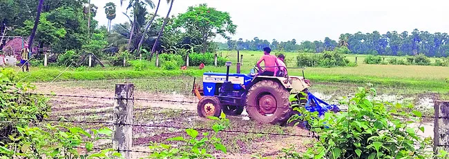 అన్నదాత సుఖీభవలో కోత