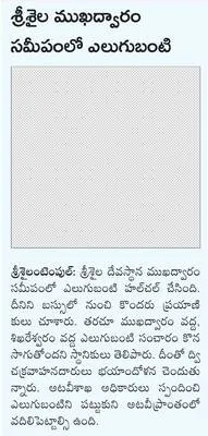 జర్మన