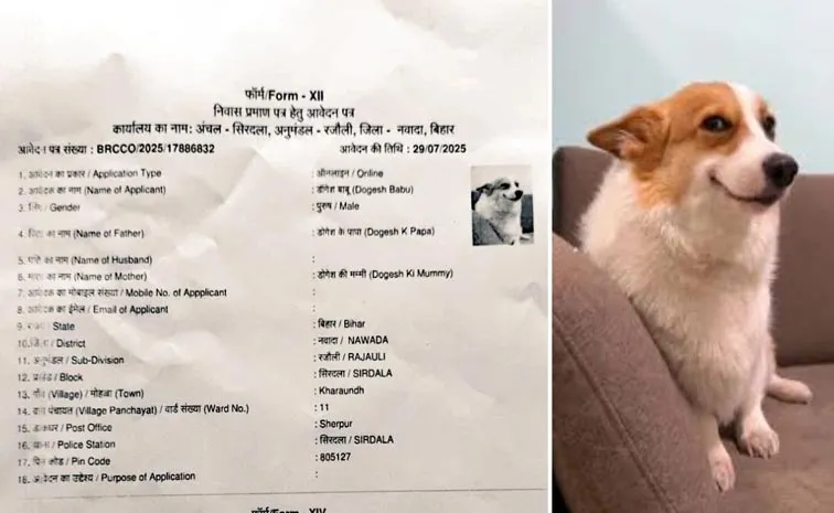 Dogesh Babu applies for residence in Bihar, After Dog Babu