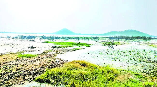 భవనాశికి గ్రహణం