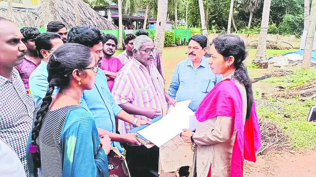 కోనసీ