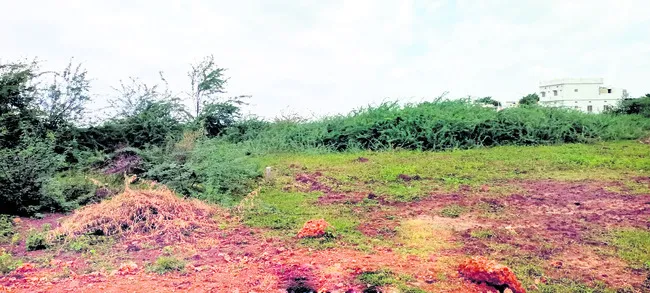సర్కా