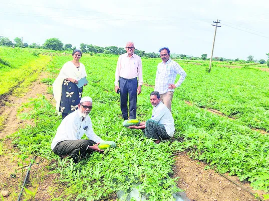 వాణిజ్య పంటలు సాగు చేయాలి