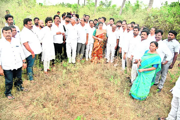 మామిడ