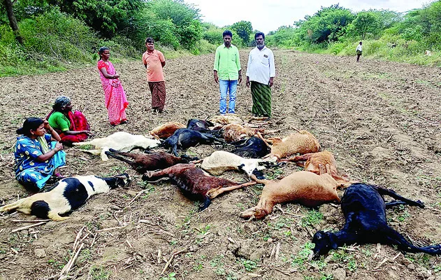 స్మార్ట్‌ మీటర్ల ఏర్పాటును వ్యతిరేకించండి 