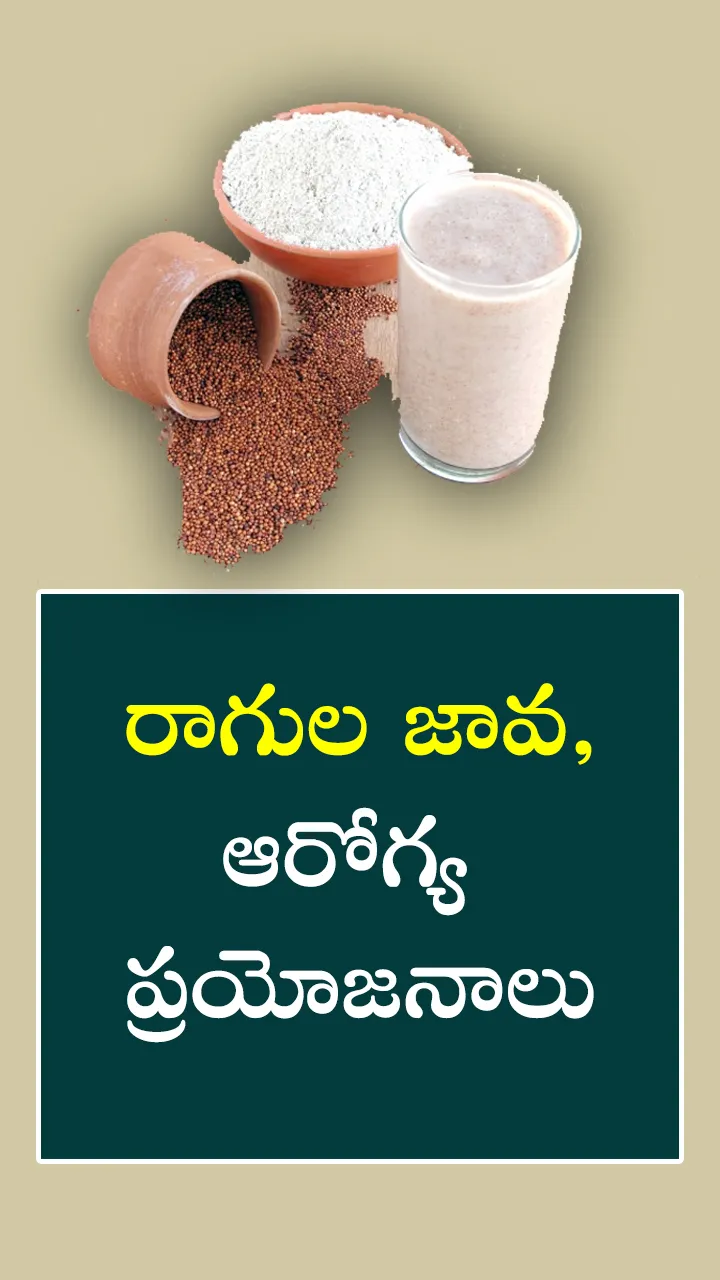 రాగుల జావ