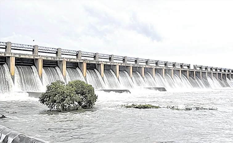 Krishnamma runs towards Nagarjuna Sagar
