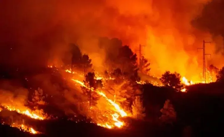 Heatwave across Europe leaves 8 dead as early summer temperatures hit