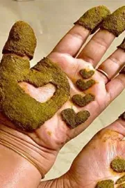 what is the link between gorintaku ashadam check these benefits 6